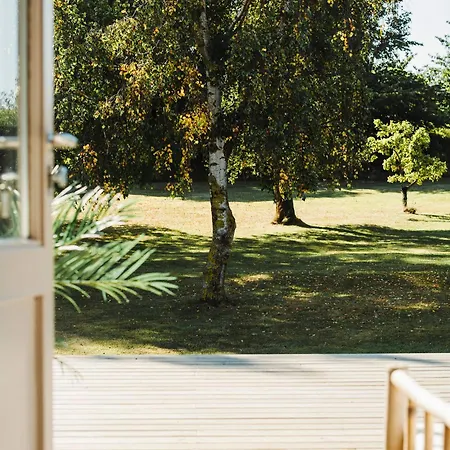 The Falcon فندق *