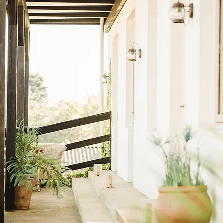 The Falcon فندق *