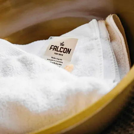 Hotel The Falcon *
