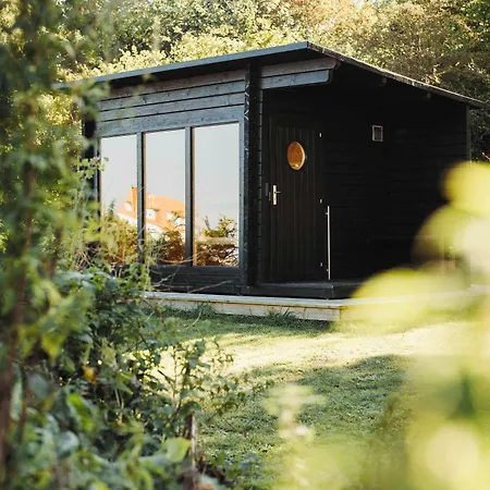 The Falcon Allinge-Sandvig