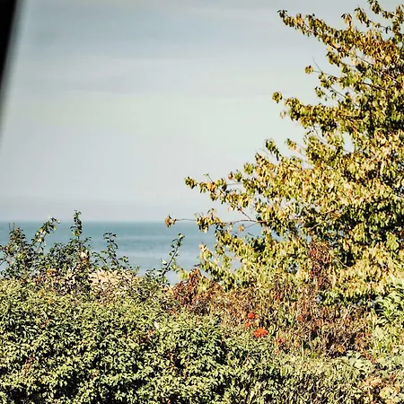 Hotel The Falcon Allinge-Sandvig