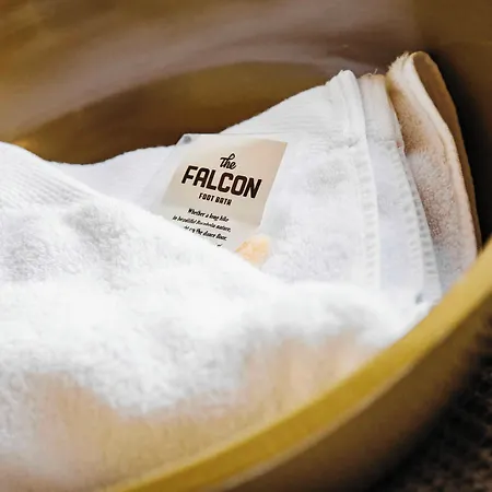 The Falcon فندق *