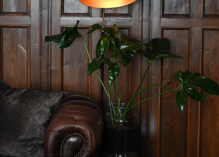 The Falcon Отель